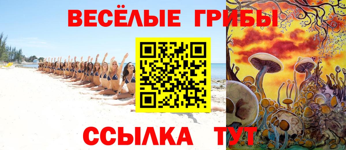 Псилоцибиновые грибы прущие грибы Керчь